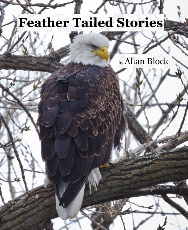 Visualizza Feather Tailed Stories di Allan Block