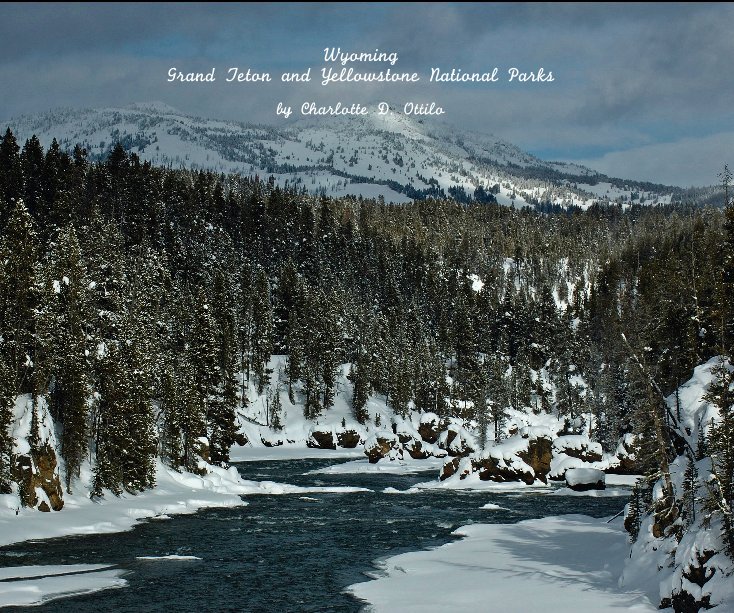 View Wyoming Grand Teton and Yellowstone National Parks by Charlotte D. Ottilo