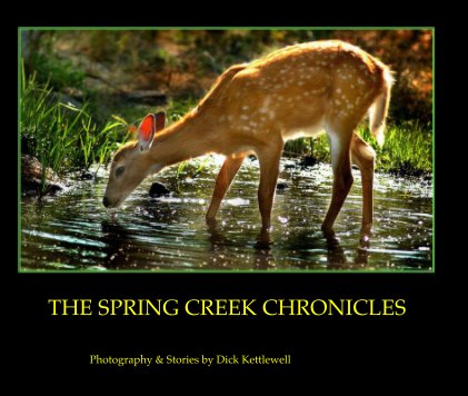 THE SPRING CREEK CHRONICLES book cover