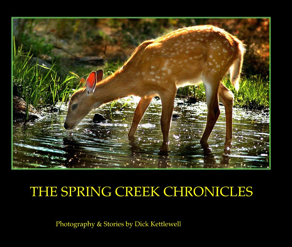 View THE SPRING CREEK CHRONICLES by Photography & Stories by Dick Kettlewell