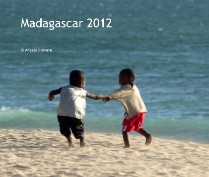 Madagascar 2012 book cover