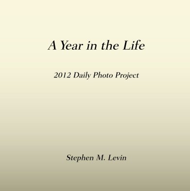 A Year in the Life book cover