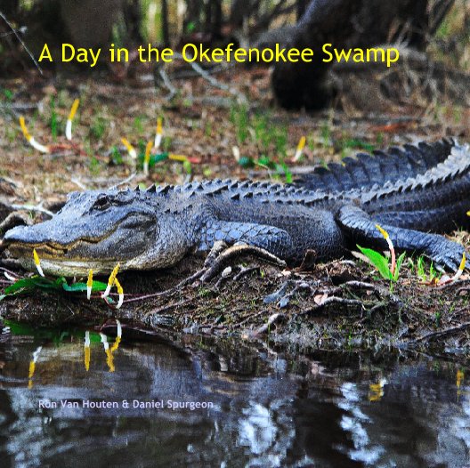 View A Day in the Okefenokee Swamp by Ron Van Houten & Daniel Spurgeon