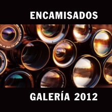 Encamisados, galería 2012 book cover