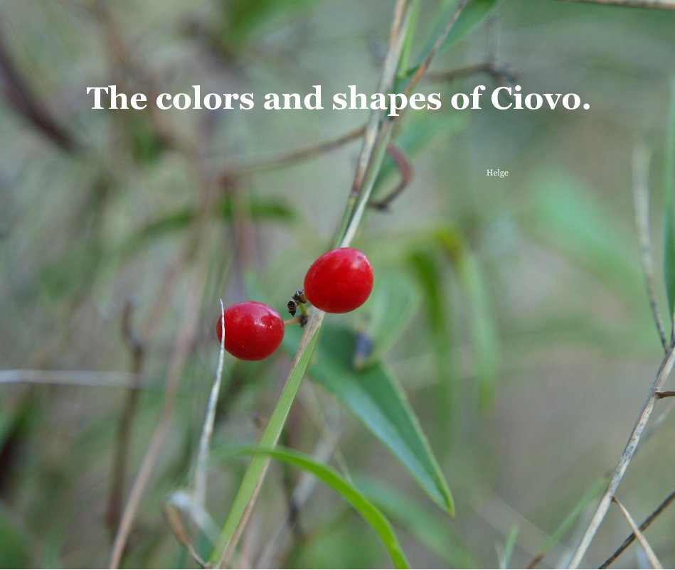 View The colors and shapes of Ciovo. by Helge