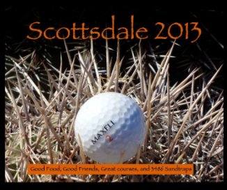 Scottsdale 2013 book cover