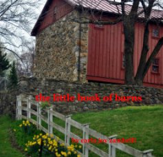 the little book of barns book cover