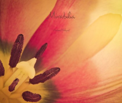 Mirabilia book cover