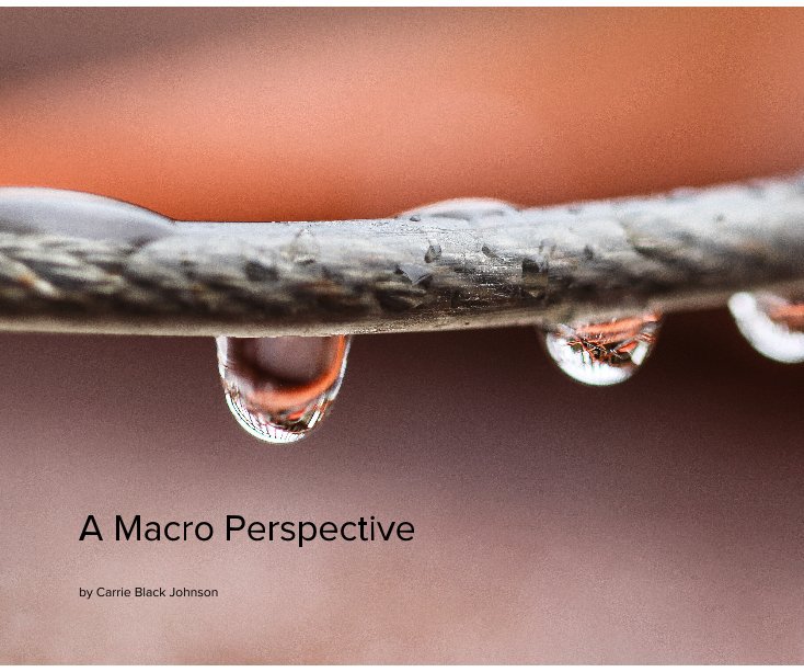 View A Macro Perspective by Carrie Black Johnson