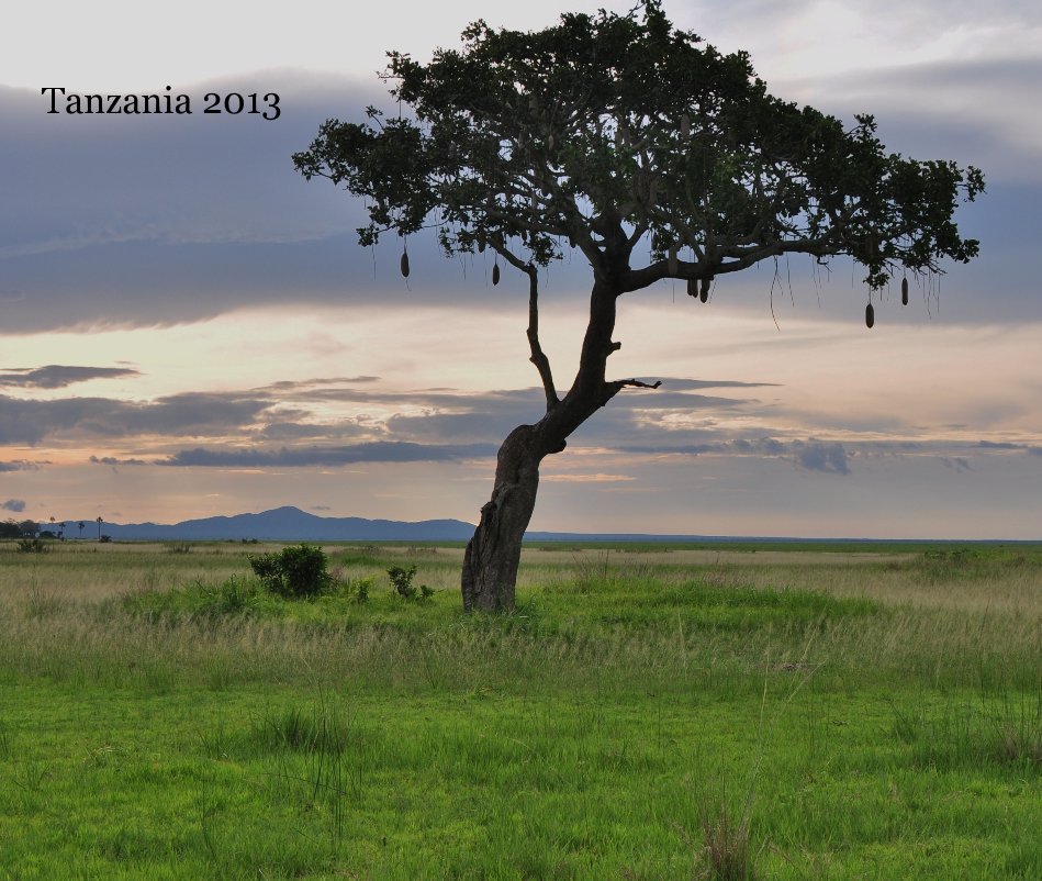 View Tanzania 2013 by Skimpia