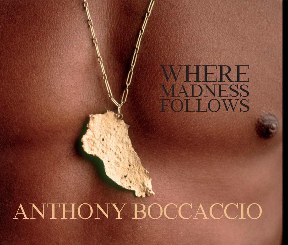 Visualizza Where Madness Follows (13"x11" Hardcover) di Anthony Boccaccio