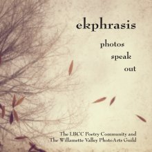 ekphrasis book cover