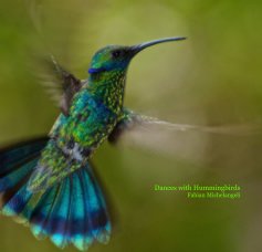 Dances with Hummingbirds Fabian Michelangeli book cover