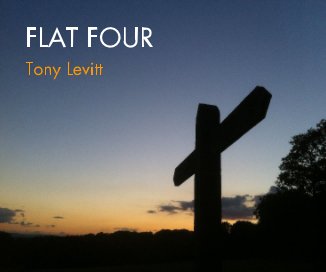 FLAT FOUR book cover