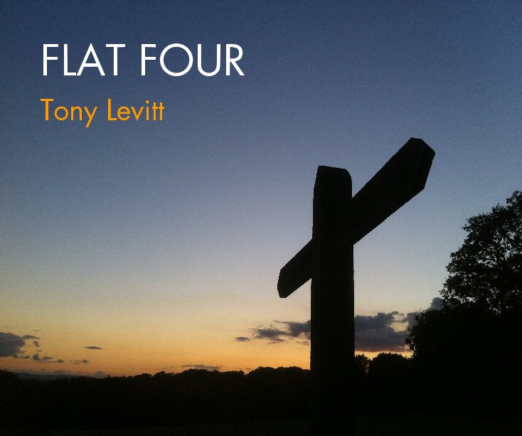View FLAT FOUR by Tony Levitt