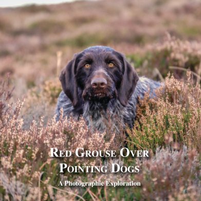 Red Grouse Over Pointing Dogs book cover