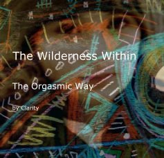 The Wilderness Within book cover
