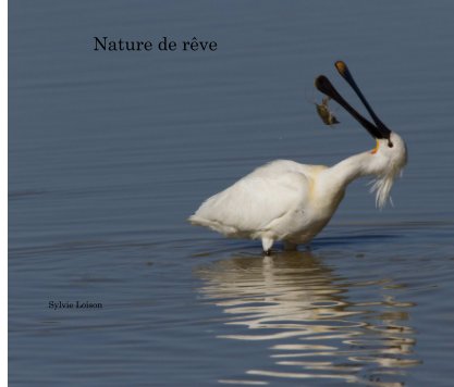 Nature de rêve book cover
