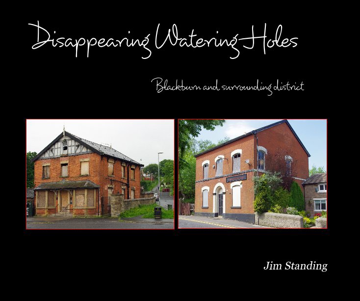 View Disappearing Watering Holes by Jim Standing