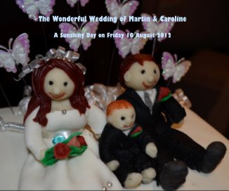 The Wonderful Wedding of Martin & Caroline book cover