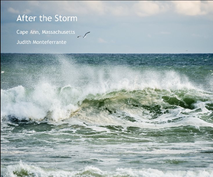 View After the Storm by Judith Monteferrante
