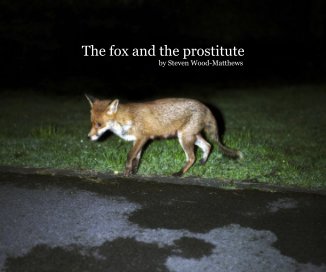 The fox and the prostitute book cover