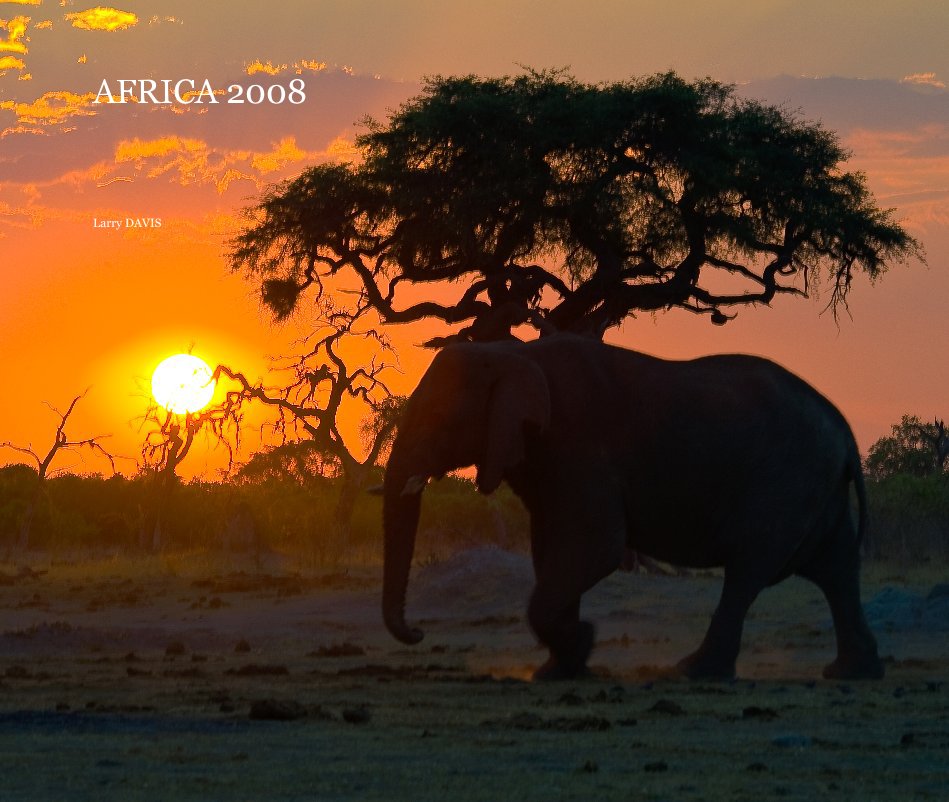 Visualizza AFRICA 2008 di Larry DAVIS