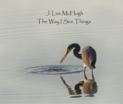 J. Lee McHugh The Way I See Things book cover