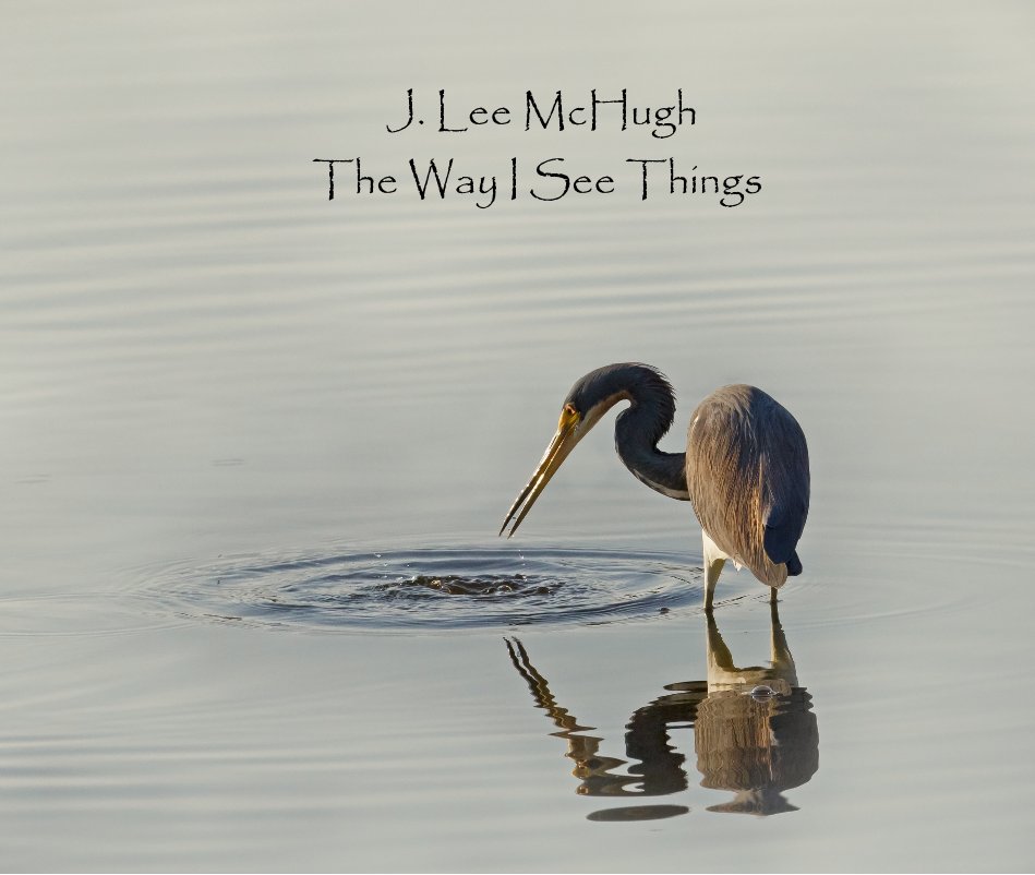 Bekijk J. Lee McHugh The Way I See Things op Jimc