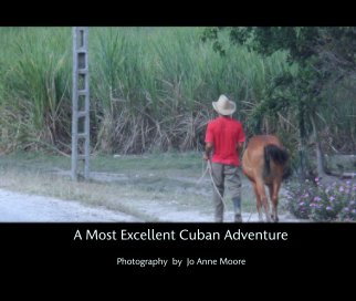 A Most Excellent Cuban Adventure book cover