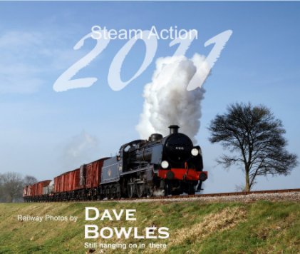 Steam Action 2011 book cover