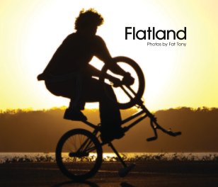 Flatland book cover