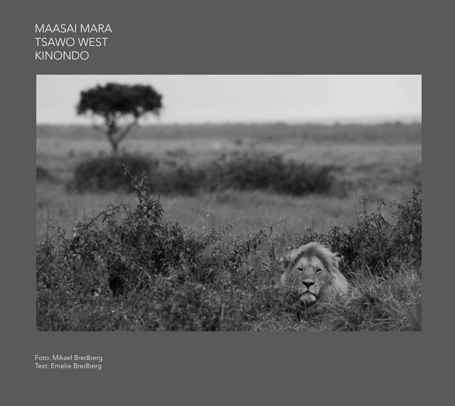 View Maasai Mara - Tsawo West - Kinondo by Mikael & Emelie Bredberg