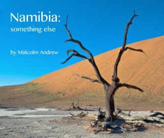 Namibia-something else book cover