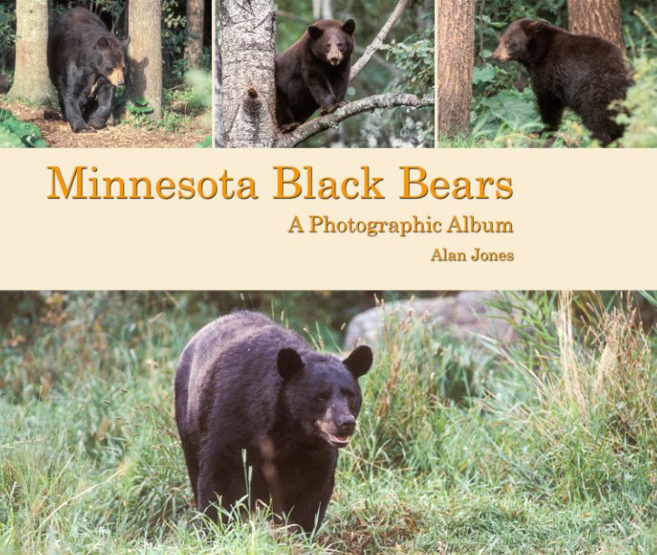 View Minnesota Black Bears by Alan Jones