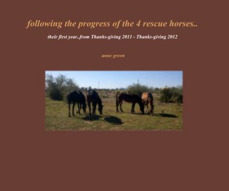 following the progress of the 4 rescue horses.. book cover