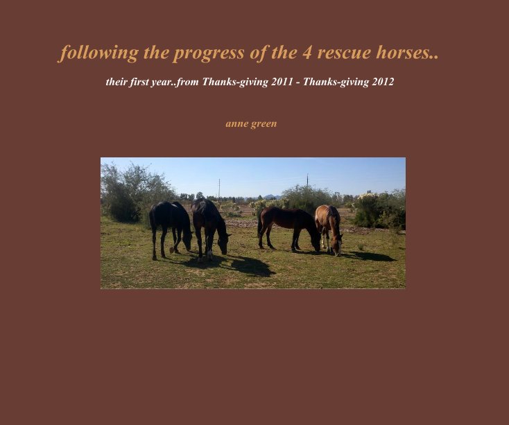 View following the progress of the 4 rescue horses.. by anne green