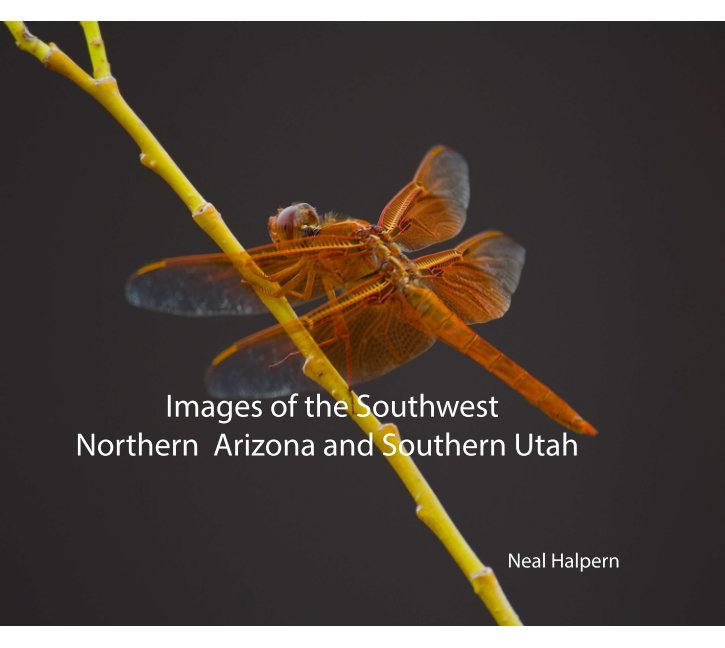 View Images of the Southwest by Neal Halpern