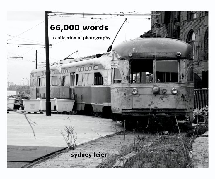 Visualizza 66,000 words a collection of photography sydney leier di kylabeck