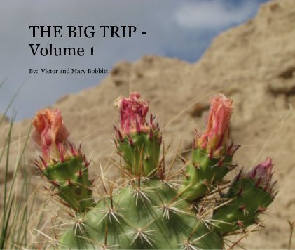 THE BIG TRIP - Volume 1 book cover