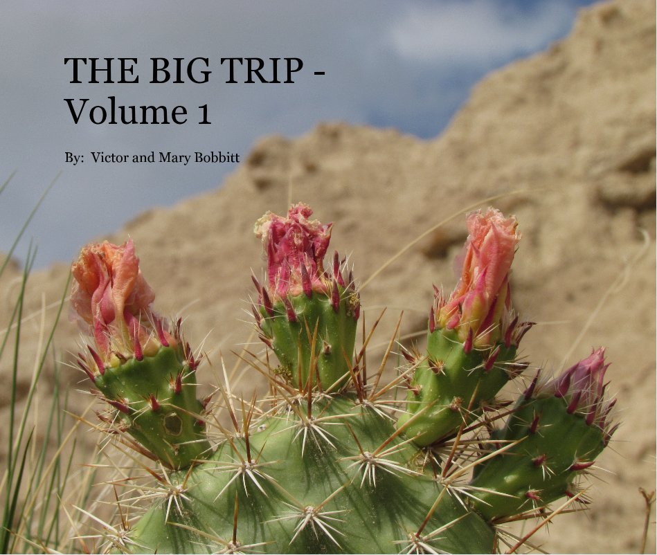 View THE BIG TRIP - Volume 1 by By: Victor and Mary Bobbitt