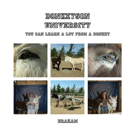 View Donkeyson UNIVERSITY by BraKam