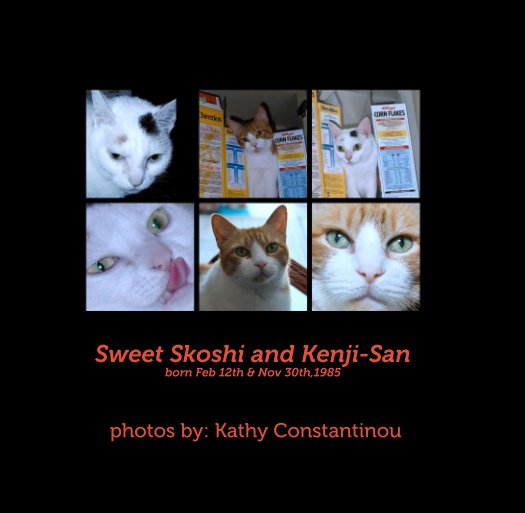 Sweet Skoshi and Kenji-Sanborn Feb 12th & Nov 30th,1995 nach photos by: Kathy Constantinou anzeigen