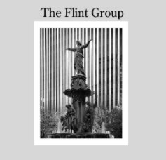 The Flint Group book cover