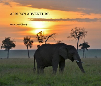 AFRICAN ADVENTURE book cover