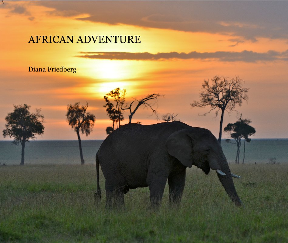 View AFRICAN ADVENTURE by Diana Friedberg