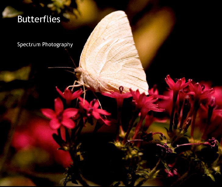 View Butterflies by Spectrum Photography