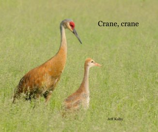 Crane, crane book cover