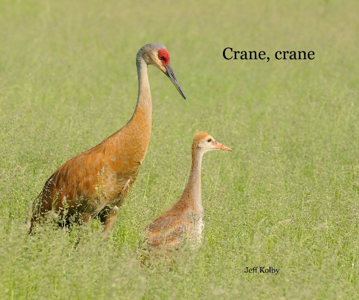 Ver Crane, crane por Jeff Kolby