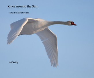 Once Around the Sun book cover